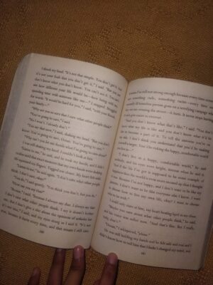 A Very Large Expanse of Sea