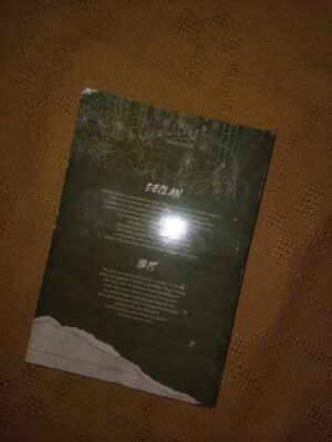 Terms and Conditions (Dreamland billionaires #02)