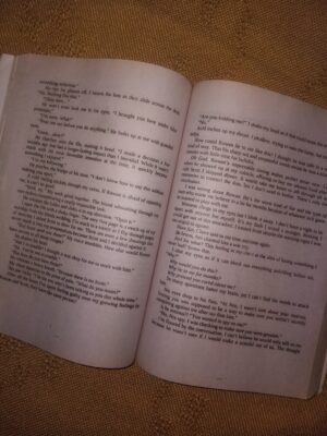 Terms and Conditions (Dreamland billionaires #02)